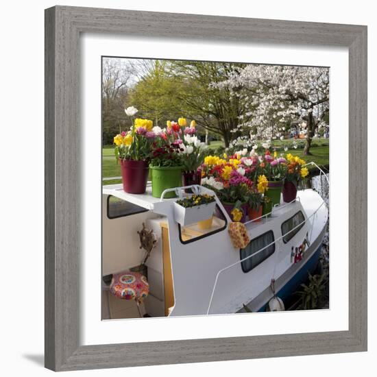 Boat Decorated with Potted Spring Blooms-Anna Miller-Framed Photographic Print