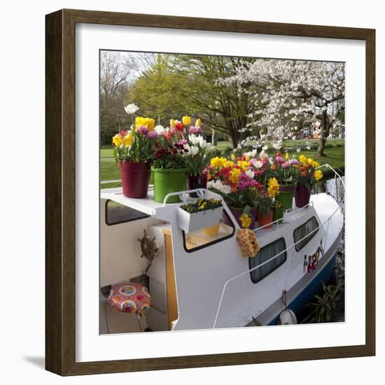 Boat Decorated with Potted Spring Blooms-Anna Miller-Framed Photographic Print