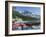 Boat Dock and Canoes for Rent on Emerald Lake, Yoho National Park,British Columbia-Howard Newcomb-Framed Photographic Print