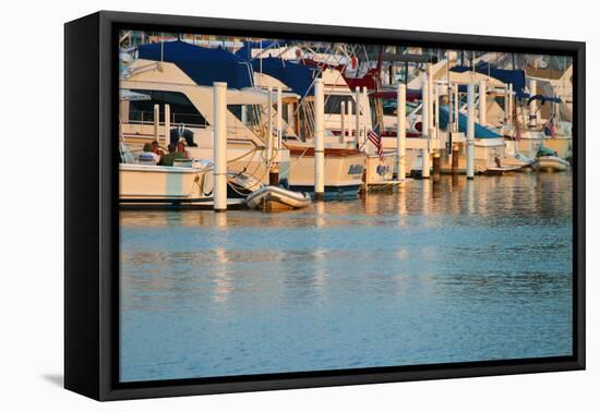 Boat docks and boats at Indiana Dunes, Indiana, USA-Anna Miller-Framed Premier Image Canvas