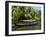 Boat for Tourists on the Backwaters, Allepey, Kerala, India, Asia-Tuul-Framed Photographic Print