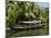 Boat for Tourists on the Backwaters, Allepey, Kerala, India, Asia-Tuul-Mounted Photographic Print