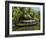 Boat for Tourists on the Backwaters, Allepey, Kerala, India, Asia-Tuul-Framed Photographic Print