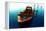 Boat III-Ynon Mabat-Framed Premier Image Canvas