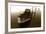 Boat III-Ynon Mabat-Framed Photographic Print