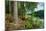 Boat in the forest, Hogland Island, Finland-null-Mounted Photographic Print