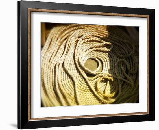 Boat line coiled-Savanah Plank-Framed Photo