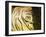 Boat line coiled-Savanah Plank-Framed Photo