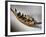 Boat, Model, Painted Wood c. 2000 BC Middle Kingdom Egyptian-null-Framed Photographic Print