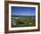 Boat on Green Foreshore, Landscape in Connemara, County Galway, Connacht, Republic of Ireland-Lawrence Graham-Framed Photographic Print