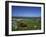 Boat on Green Foreshore, Landscape in Connemara, County Galway, Connacht, Republic of Ireland-Lawrence Graham-Framed Photographic Print