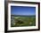 Boat on Green Foreshore, Landscape in Connemara, County Galway, Connacht, Republic of Ireland-Lawrence Graham-Framed Photographic Print