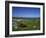 Boat on Green Foreshore, Landscape in Connemara, County Galway, Connacht, Republic of Ireland-Lawrence Graham-Framed Photographic Print