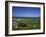 Boat on Green Foreshore, Landscape in Connemara, County Galway, Connacht, Republic of Ireland-Lawrence Graham-Framed Photographic Print