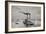 Boat on Mississippi, 1892, by Taylor Taken from Geographie Universelle, 19th Century-null-Framed Giclee Print