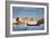 Boat on Pichola Lake near City Palace-Marina Pissarova-Framed Photographic Print