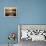 Boat on the Amazon River, Near Puerto Narino, Colombia-Christian Heeb-Framed Premier Image Canvas displayed on a wall