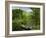 Boat on the River Charente, St. Simeux, Poitou Charentes, France, Europe-Michael Busselle-Framed Photographic Print