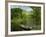 Boat on the River Charente, St. Simeux, Poitou Charentes, France, Europe-Michael Busselle-Framed Photographic Print