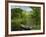 Boat on the River Charente, St. Simeux, Poitou Charentes, France, Europe-Michael Busselle-Framed Photographic Print