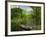 Boat on the River Charente, St. Simeux, Poitou Charentes, France, Europe-Michael Busselle-Framed Photographic Print