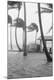 Premium Photographic Print