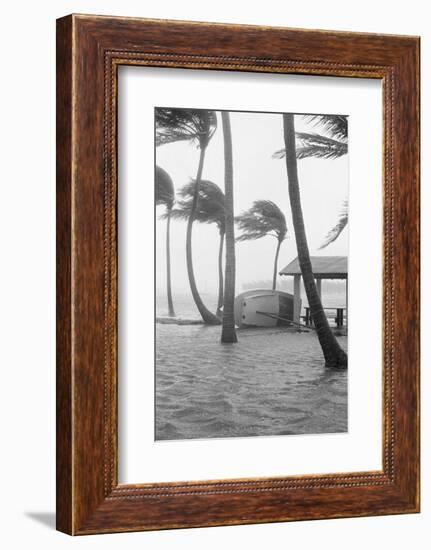 Boat Overturned by Hurricane Winds-null-Framed Photographic Print
