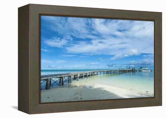 Boat Pier on Carp Island, One of the Rock Islands, Palau, Central Pacific-Michael Runkel-Framed Premier Image Canvas