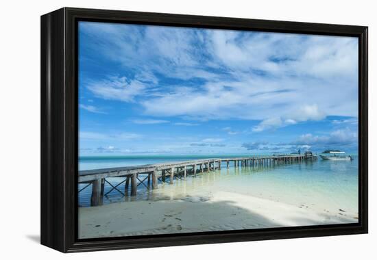 Boat Pier on Carp Island, One of the Rock Islands, Palau, Central Pacific-Michael Runkel-Framed Premier Image Canvas