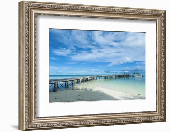 Boat Pier on Carp Island, One of the Rock Islands, Palau, Central Pacific-Michael Runkel-Framed Photographic Print