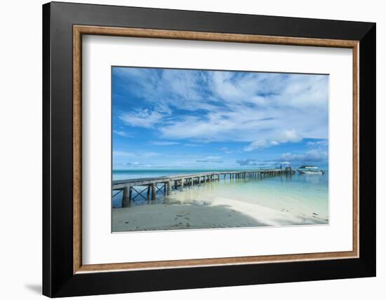 Boat Pier on Carp Island, One of the Rock Islands, Palau, Central Pacific-Michael Runkel-Framed Photographic Print