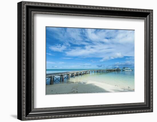 Boat Pier on Carp Island, One of the Rock Islands, Palau, Central Pacific-Michael Runkel-Framed Photographic Print