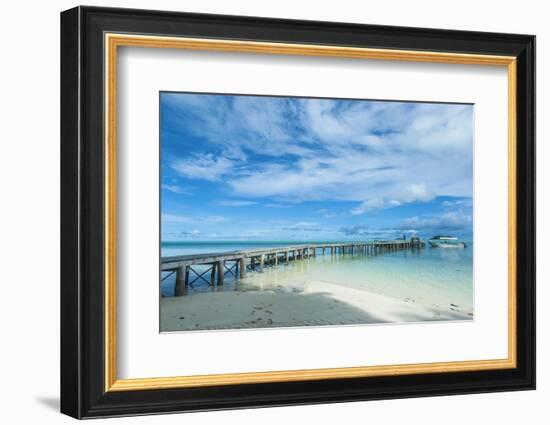 Boat Pier on Carp Island, One of the Rock Islands, Palau, Central Pacific-Michael Runkel-Framed Photographic Print