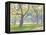 Boat Pond, Central Park-Julian Barrow-Framed Premier Image Canvas