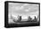 Boat Solomon Islands 1-null-Framed Stretched Canvas