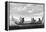 Boat Solomon Islands 1-null-Framed Stretched Canvas