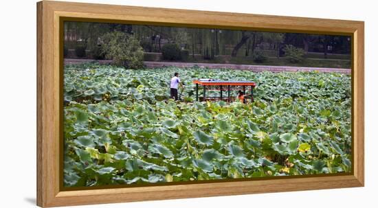 Boat Tourists in Lotus Pond Purple Bamboo Park, Beijing-William Perry-Framed Premier Image Canvas