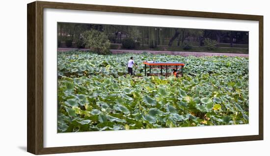 Boat Tourists in Lotus Pond Purple Bamboo Park, Beijing-William Perry-Framed Photographic Print