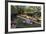 Boat Tours on the Riverwalk in Downtown San Antonio, Texas, USA-Chuck Haney-Framed Photographic Print