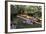 Boat Tours on the Riverwalk in Downtown San Antonio, Texas, USA-Chuck Haney-Framed Photographic Print