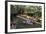 Boat Tours on the Riverwalk in Downtown San Antonio, Texas, USA-Chuck Haney-Framed Photographic Print