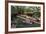 Boat Tours on the Riverwalk in Downtown San Antonio, Texas, USA-Chuck Haney-Framed Photographic Print