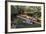 Boat Tours on the Riverwalk in Downtown San Antonio, Texas, USA-Chuck Haney-Framed Photographic Print