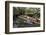 Boat Tours on the Riverwalk in Downtown San Antonio, Texas, USA-Chuck Haney-Framed Photographic Print