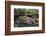 Boat Tours on the Riverwalk in Downtown San Antonio, Texas, USA-Chuck Haney-Framed Photographic Print