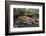 Boat Tours on the Riverwalk in Downtown San Antonio, Texas, USA-Chuck Haney-Framed Photographic Print