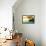 Boat V-Ynon Mabat-Framed Premier Image Canvas displayed on a wall