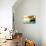 Boat V-Ynon Mabat-Mounted Photographic Print displayed on a wall