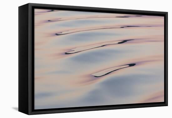 Boat wake reflecting colors at dawn-Trish Drury-Framed Premier Image Canvas