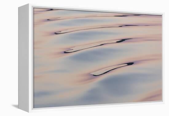 Boat wake reflecting colors at dawn-Trish Drury-Framed Premier Image Canvas